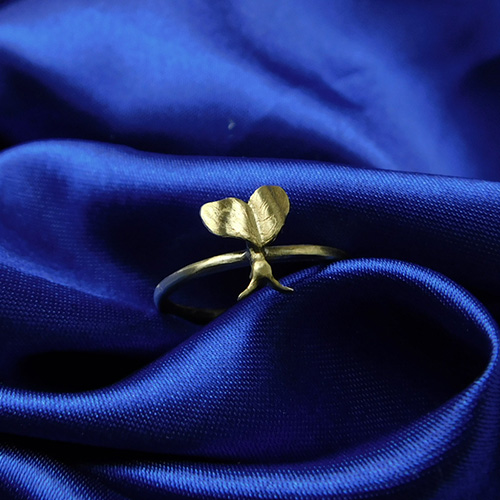 Ring mit Motte