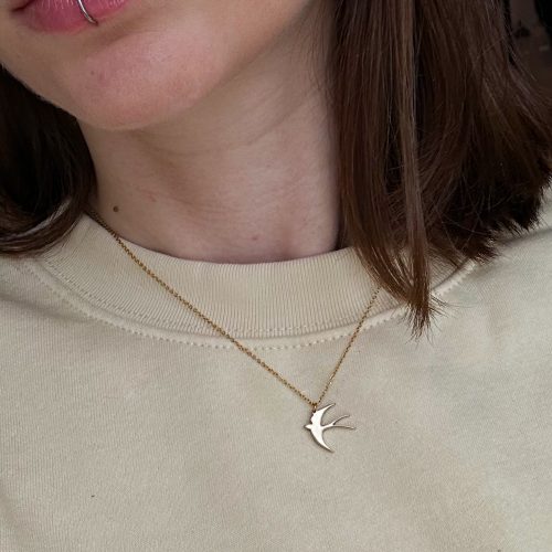 Schwalbe Kette